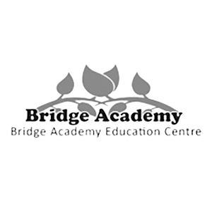 bridge academy logo